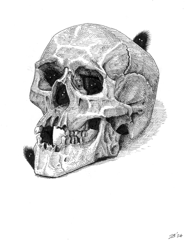 Skull, 2024